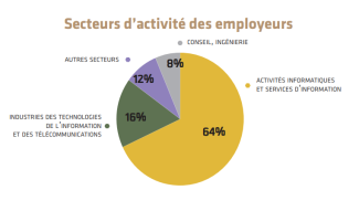 Graphique représentant les secteurs d'activité des employeurs en Informatique